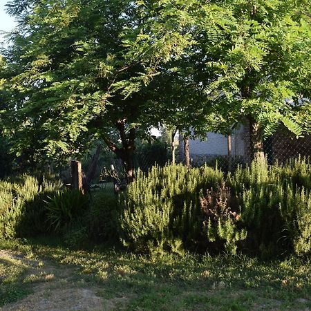 Il Saragio Villa Abbadia di Montepulciano Екстериор снимка