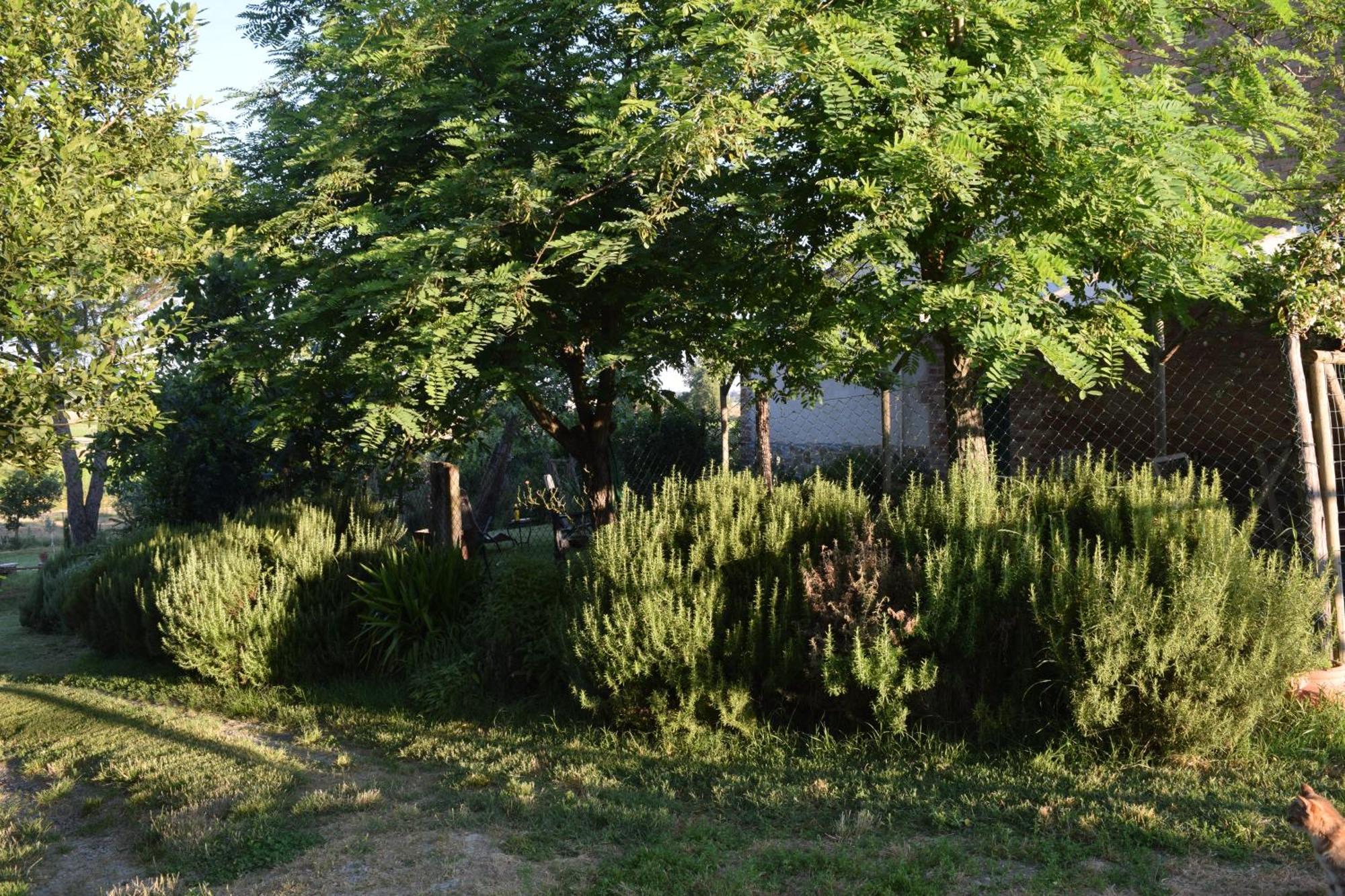 Il Saragio Villa Abbadia di Montepulciano Екстериор снимка