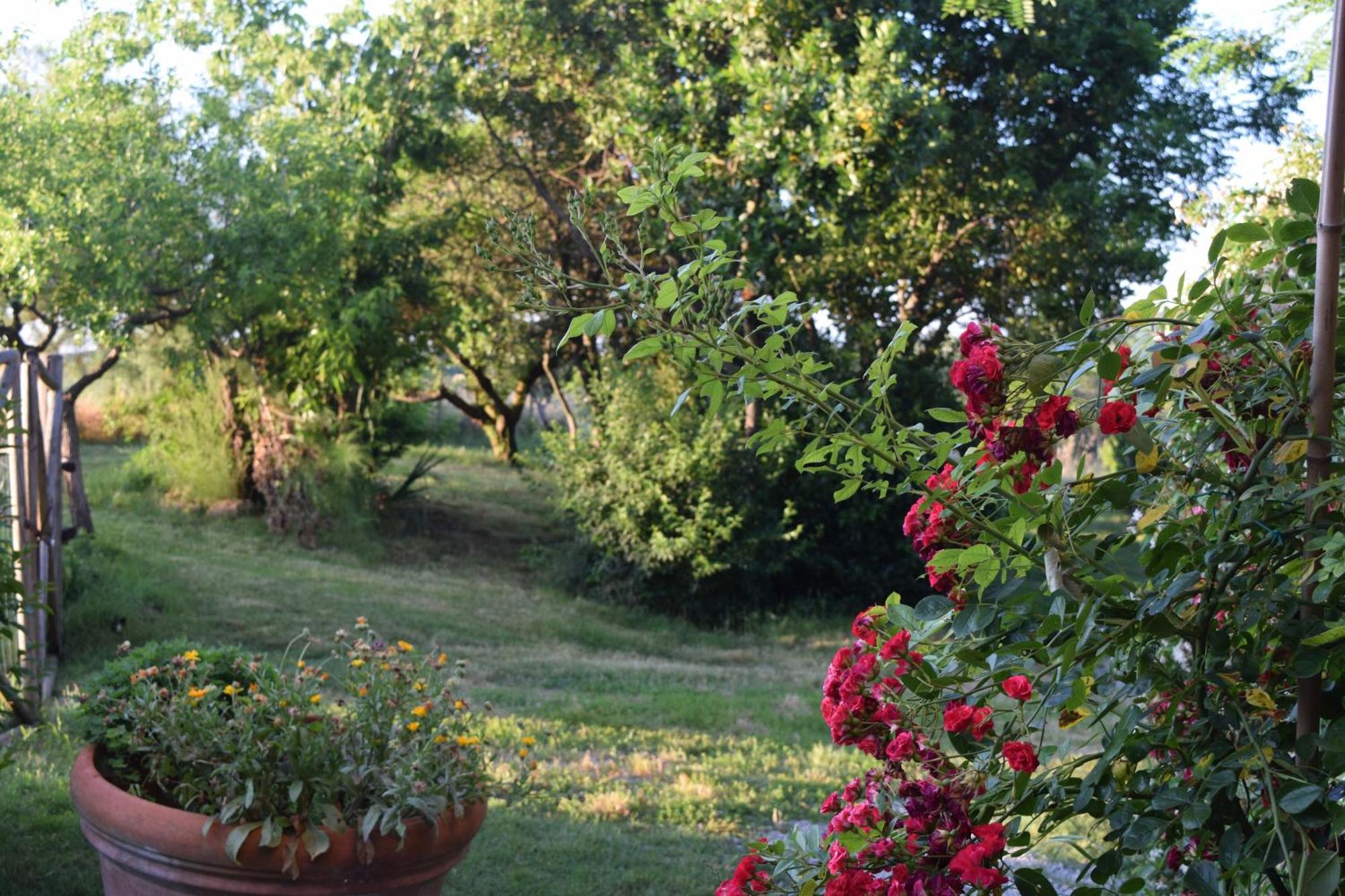 Il Saragio Villa Abbadia di Montepulciano Екстериор снимка