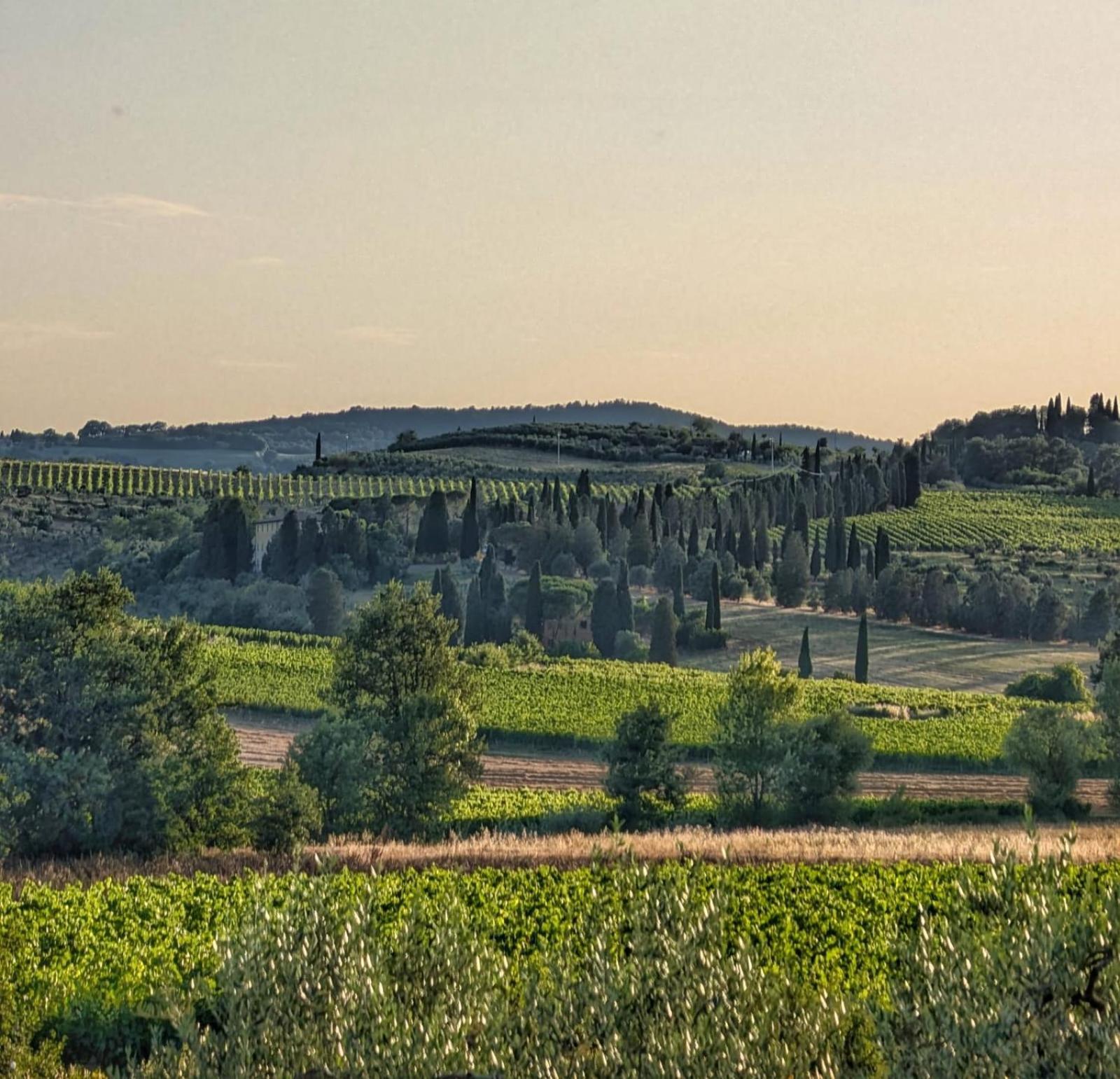 Il Saragio Villa Abbadia di Montepulciano Екстериор снимка