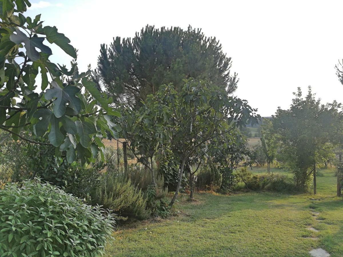 Il Saragio Villa Abbadia di Montepulciano Екстериор снимка